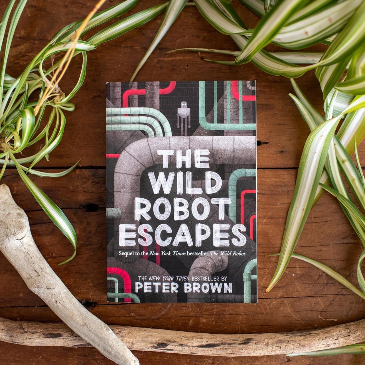 The Wild Robot Series Boxset - Image 6